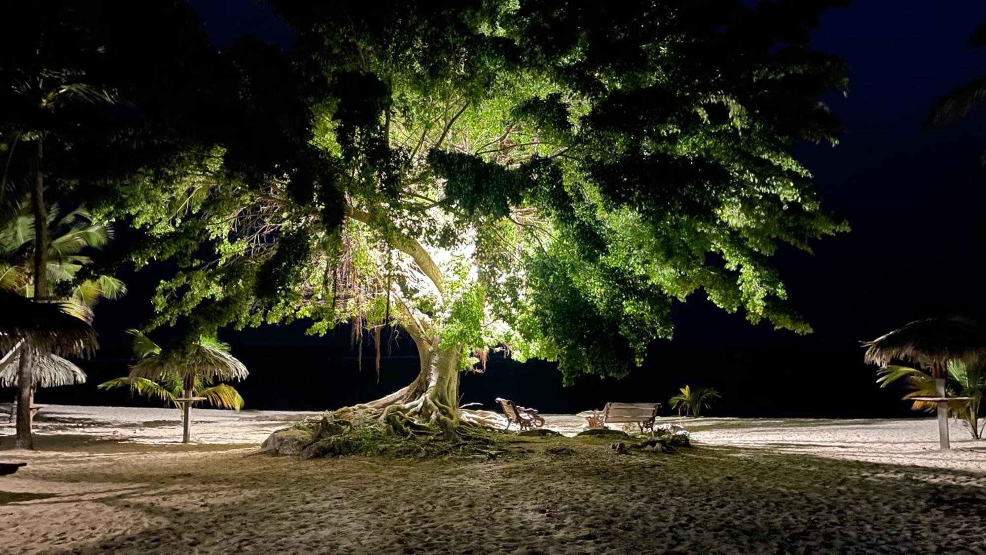 Studio Anse Des Rochers Saint Francois エクステリア 写真