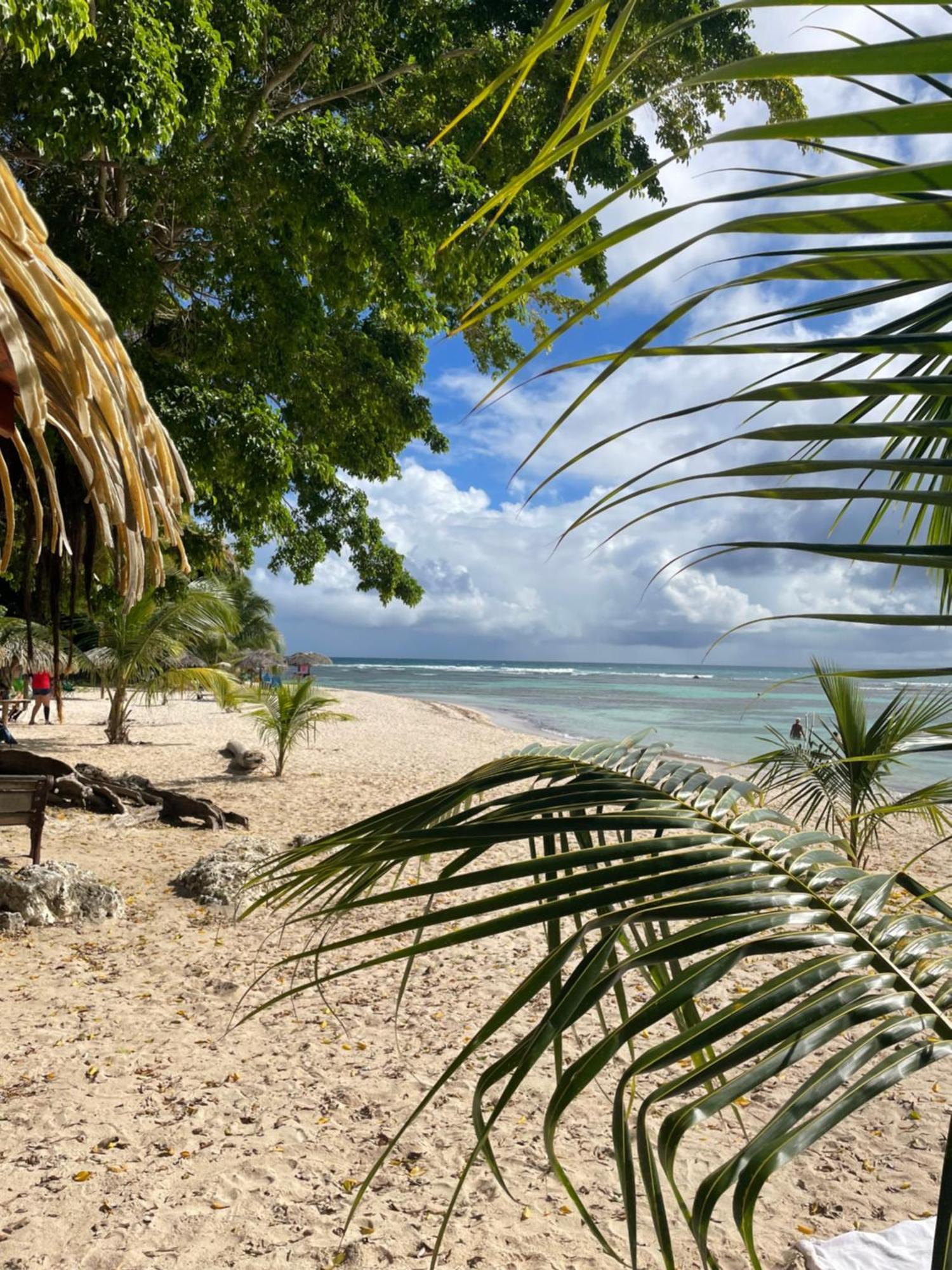 Studio Anse Des Rochers Saint Francois エクステリア 写真